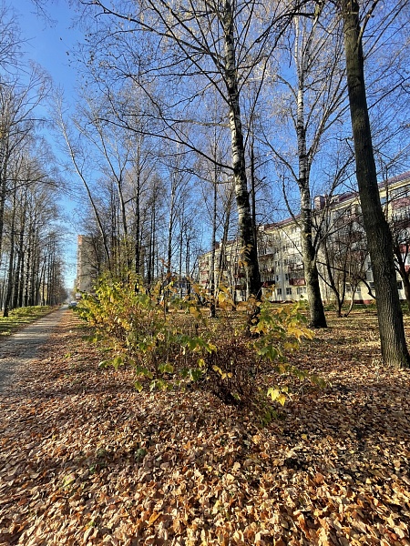 1-к квартира, 30 кв.м.