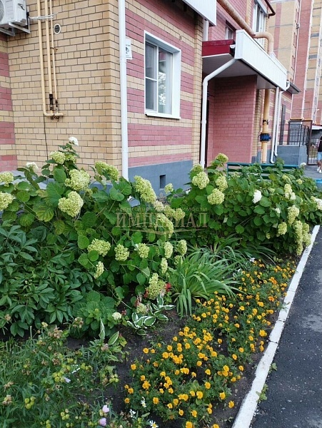 1-к квартира, 50 кв.м.