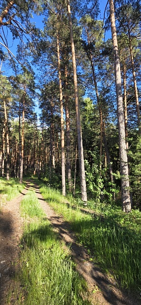 Участок , 1 сот.