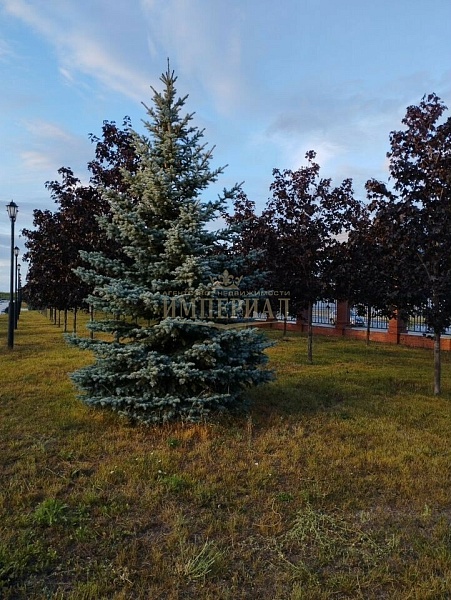 1-к квартира, 50 кв.м.