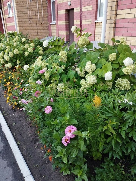 1-к квартира, 50 кв.м.