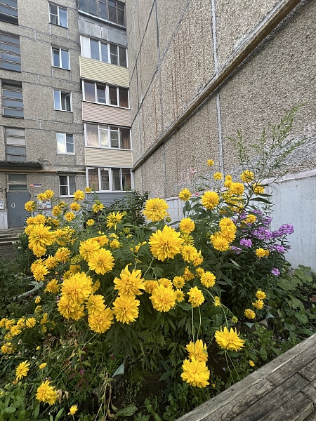 3-к квартира, 60 кв.м.