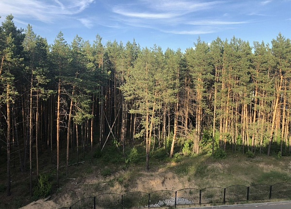 1-к квартира, 33 кв.м.