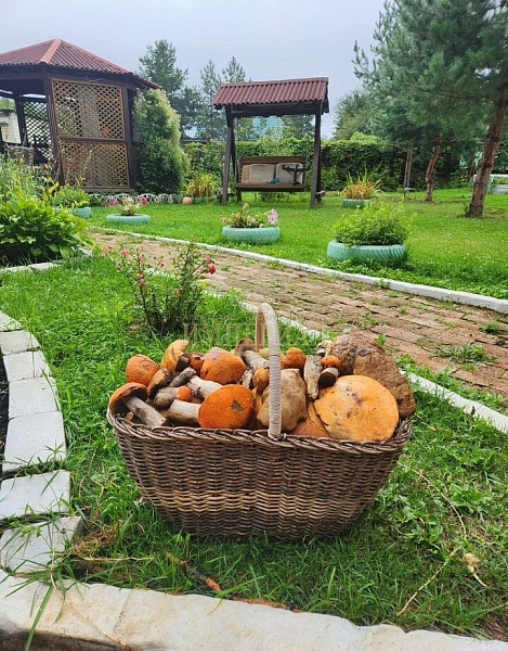 Дача, 64 кв.м.